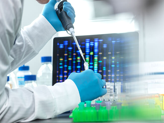 Scientist pipetting sample into a vial for DNA testing stock photo