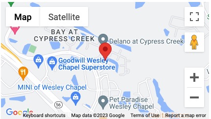 Wesley Chapel Mini Map