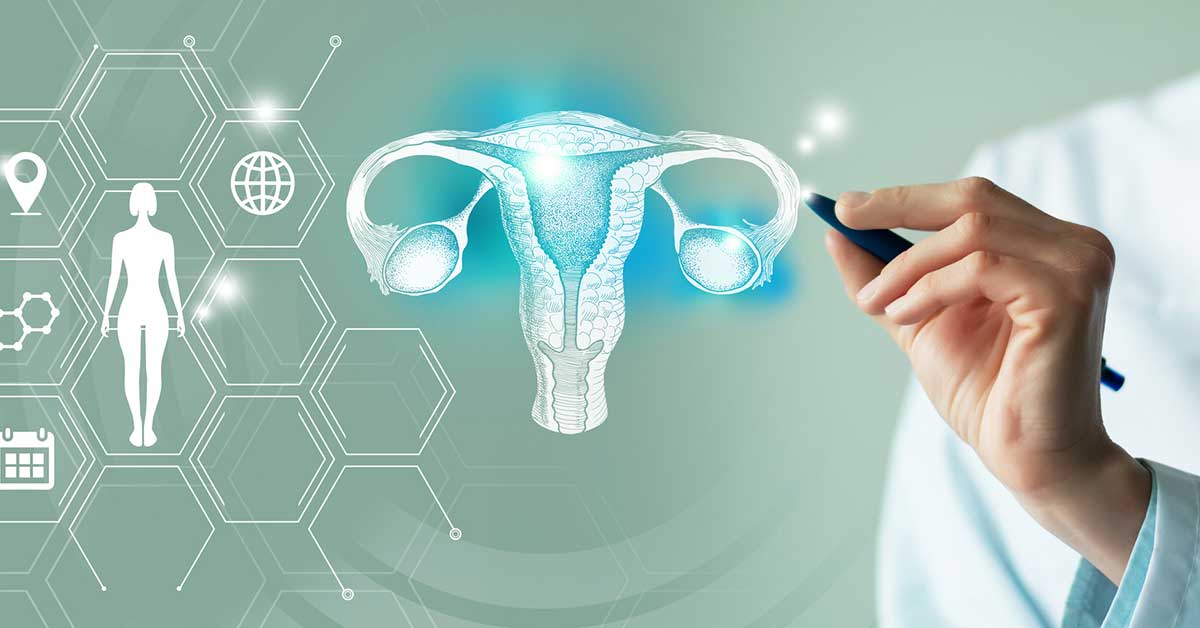 female doctor holding graphic virtual visualization model of Uterus organ