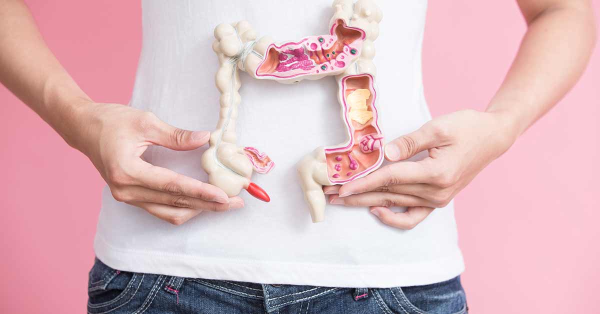 woman holding model of colon